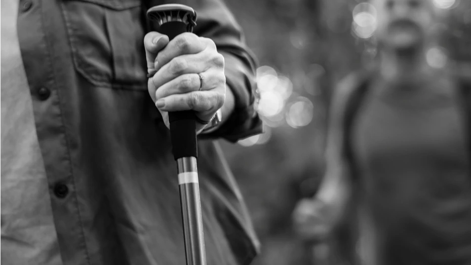 Tage berechnen bis zur Rente